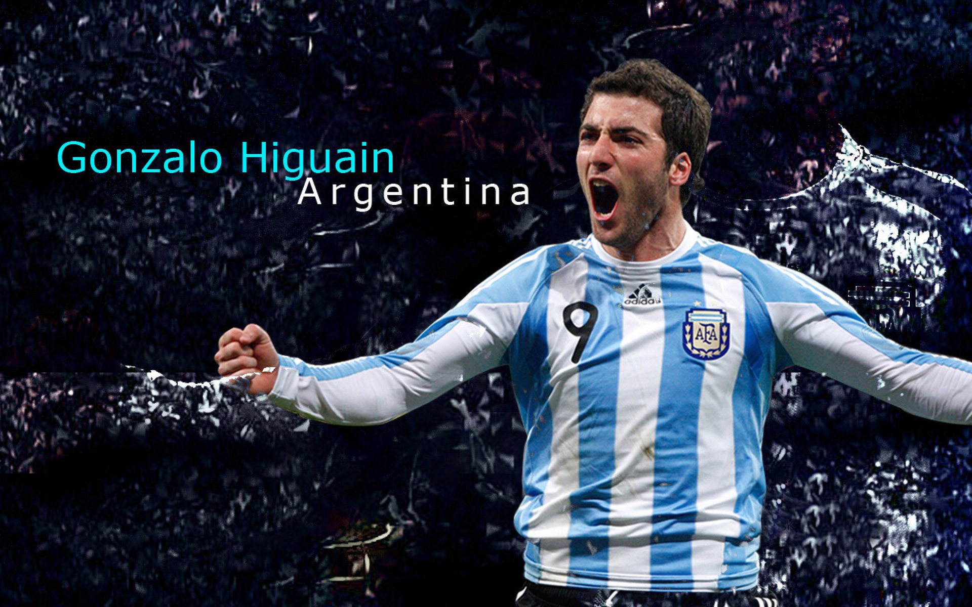 海湾者队员心理素质提升计划启动,海湾旅行者的照片