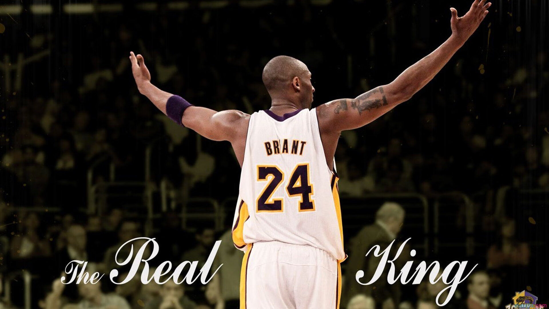 球星被包夹时是否应优先寻找底角射手，本赛季nba球员被包夹次数