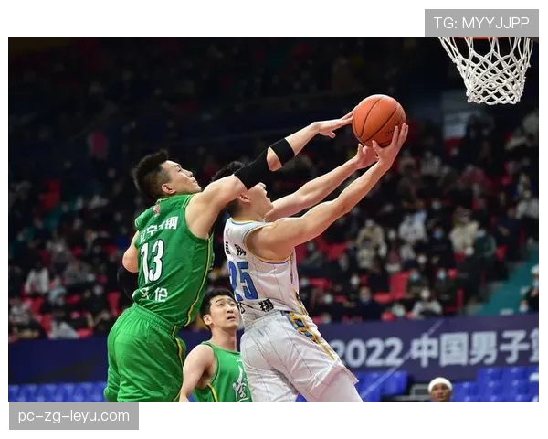 体育经纪公司对中国篮球生态的影响，体育经纪公司是做什么的