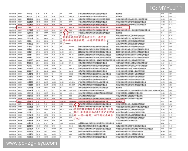 国家队是否推动建立技战术双轨执行方案